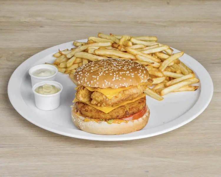 ordinary burger