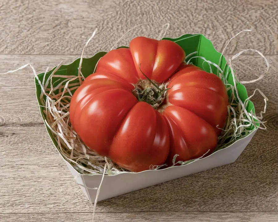 tomato in a green basket
